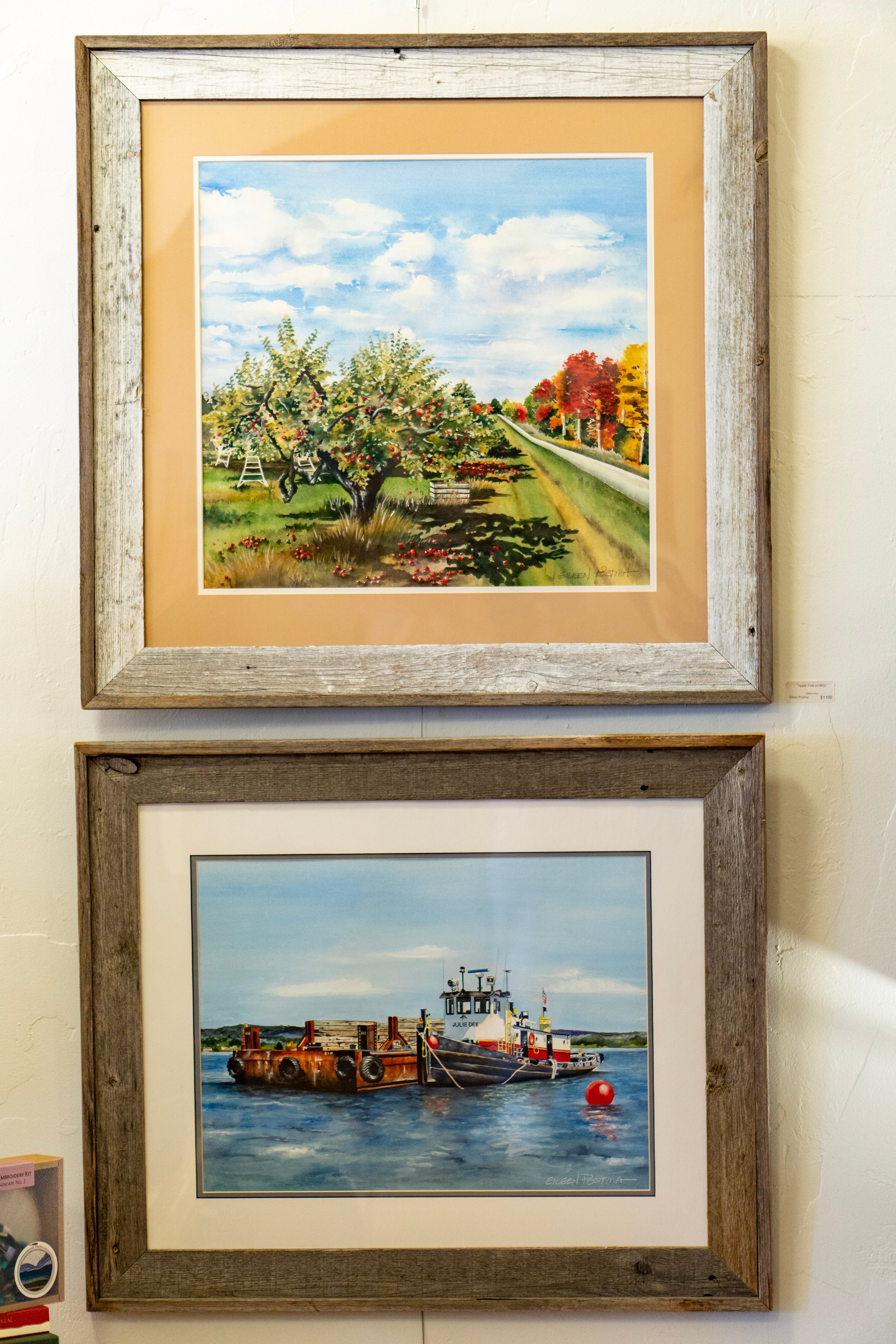 The Piping Plover The Piping Plover