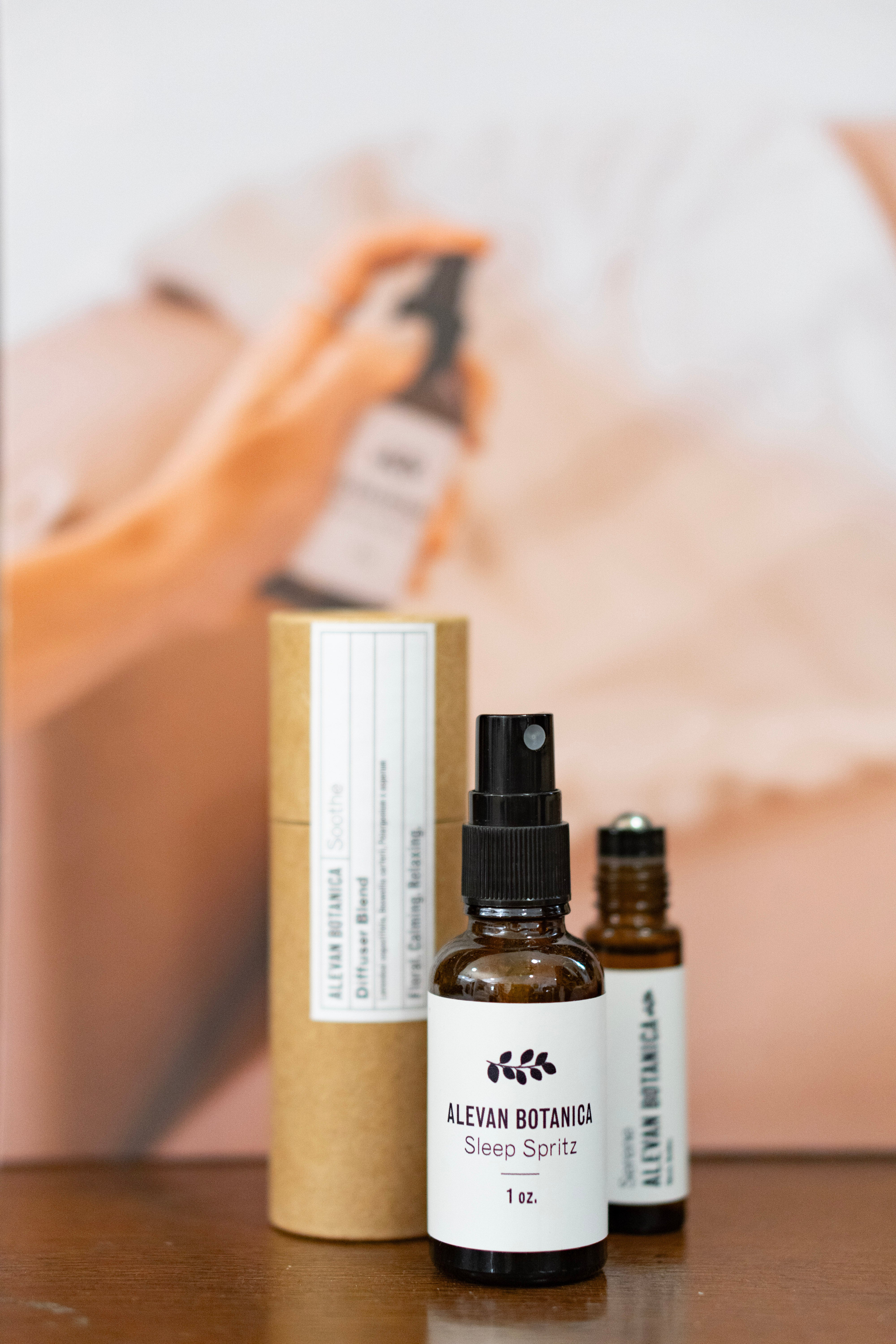 The Piping Plover The Piping Plover