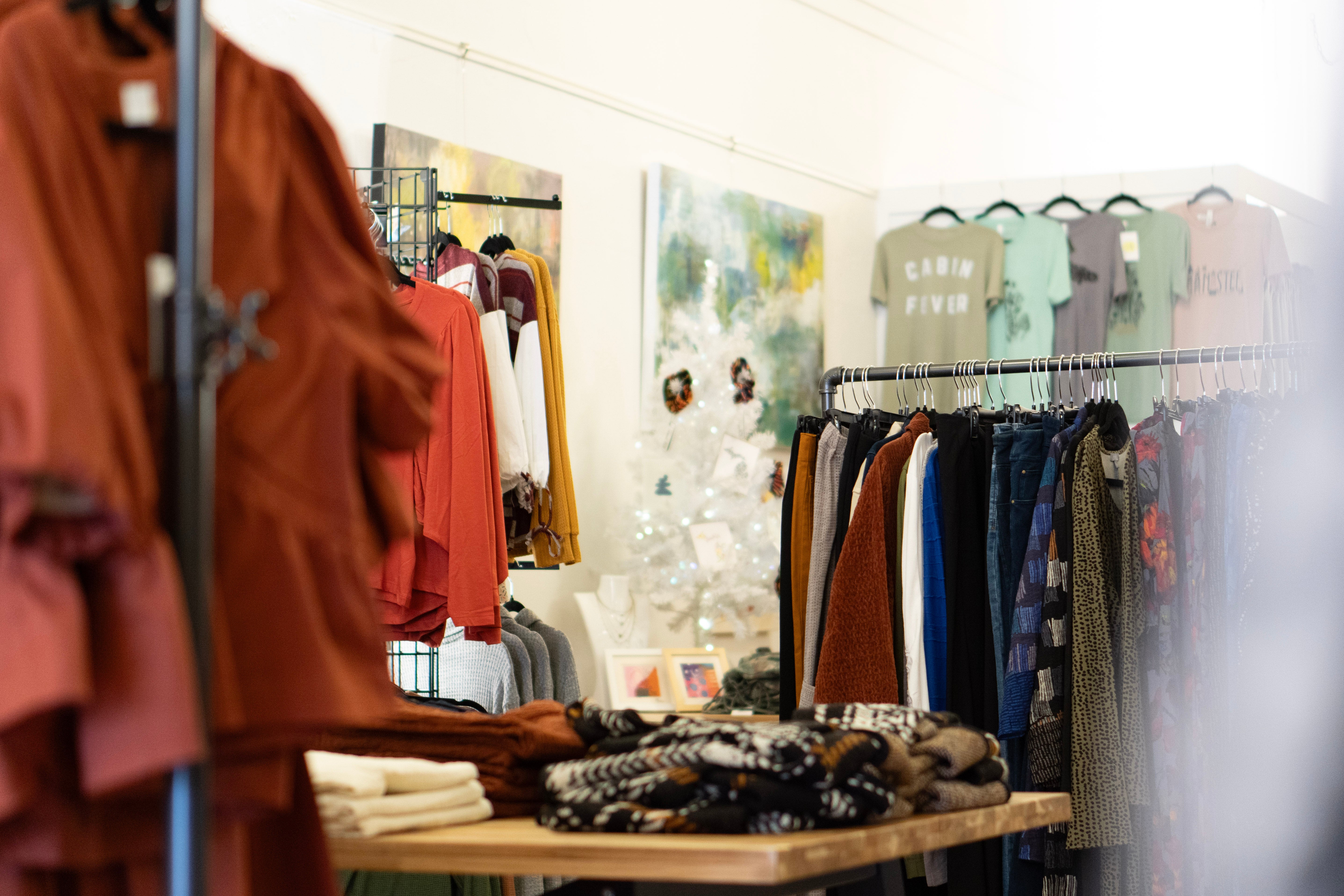 The Piping Plover The Piping Plover