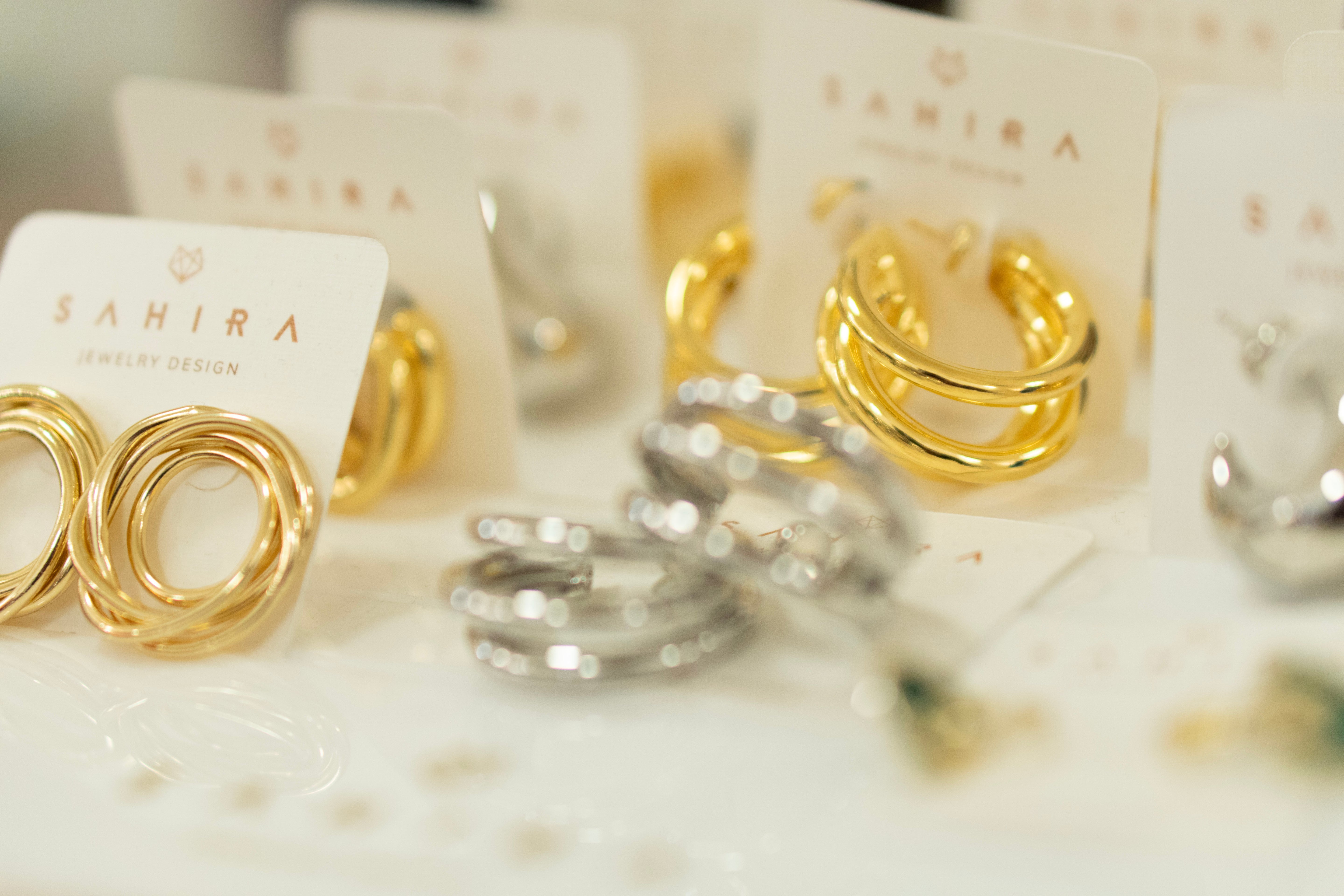 The Piping Plover The Piping Plover