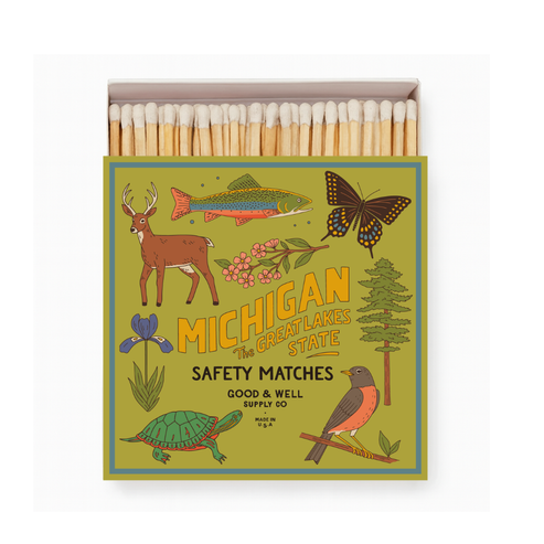 Michigan State Safety Matches