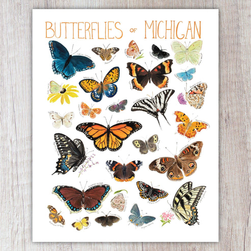 Butterflies of Michigan A2 Card