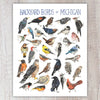 Backyard Birds of Michigan A2 Card