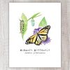 Monarch Butterfly A2 Card