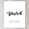 Lake Sturgeon A2 Card