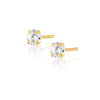 Incanto Stud Earrings